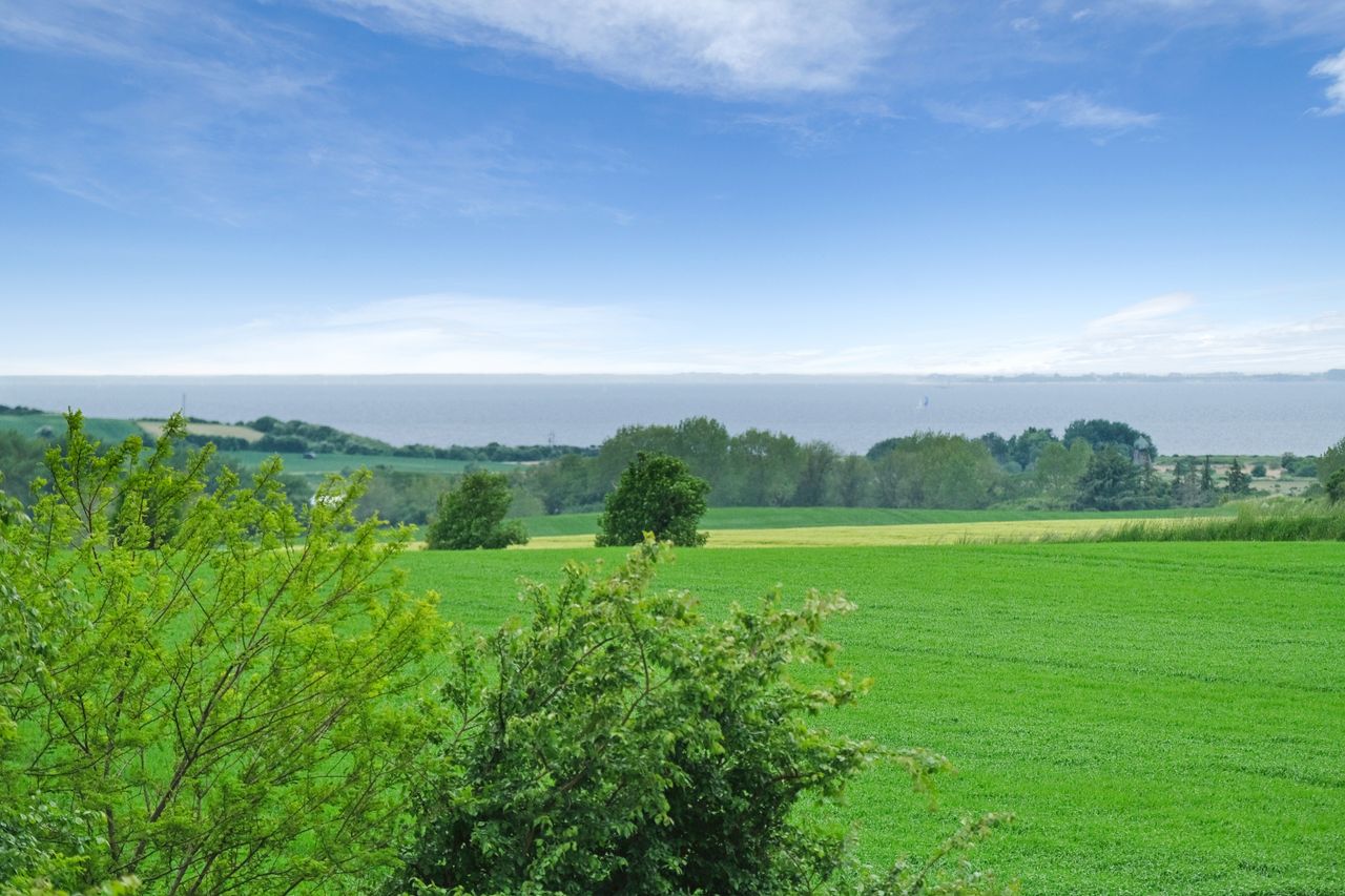 image 02